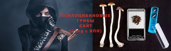 стафф Баксан