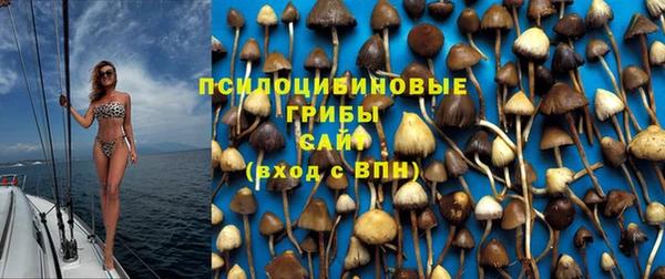 стафф Баксан