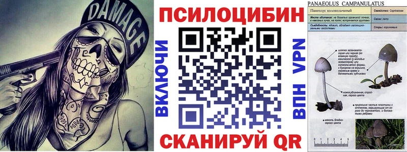 Галлюциногенные грибы GOLDEN TEACHER  закладка  Губкинский 